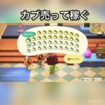 【あつ森】カブ売ってみた　結果　ベル稼ぐ　#vlog #あつ森 #あつまれどうぶつの森 #こはくちゃんねる2424