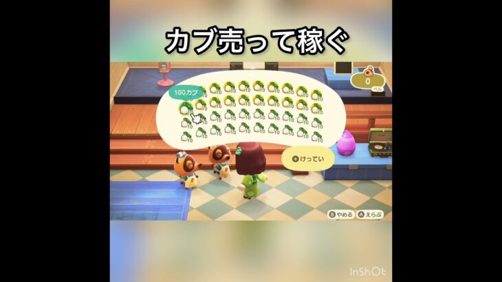 【あつ森】カブ売ってみた　結果　ベル稼ぐ　#vlog #あつ森 #あつまれどうぶつの森 #こはくちゃんねる2424