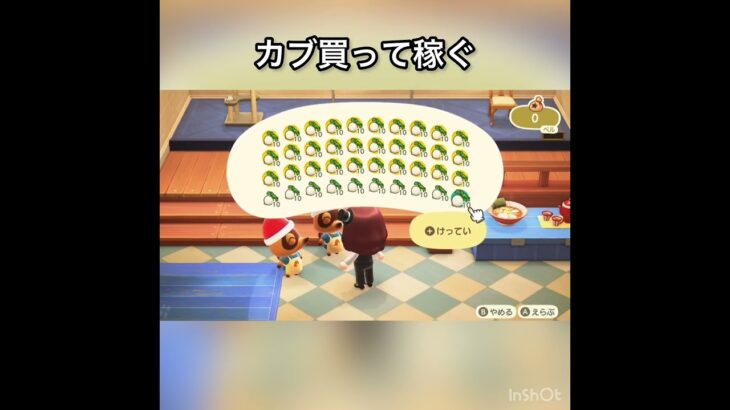 【あつ森】カブ売ってみた　結果　ベル稼ぐ　#vlog #あつ森 #あつまれどうぶつの森 #こはくちゃんねる2424