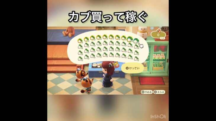 【あつ森】カブ売ってみた　結果　ベル稼ぐ　#vlog #あつ森 #あつまれどうぶつの森 #こはくちゃんねる2424