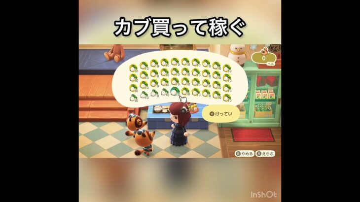 【あつ森】カブ売ってみた　結果　ベル稼ぐ　#vlog #あつ森 #あつまれどうぶつの森 #こはくちゃんねる2424
