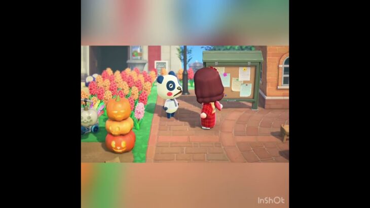 【あつ森】お年玉配る　#vlog #あつ森 #あつまれどうぶつの森 #こはくちゃんねる2424 #animalcrossing #asmr shorts  0→1 #今日　#大好き