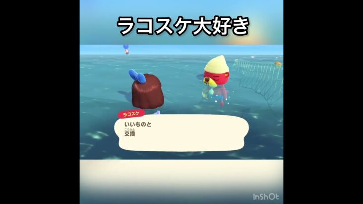 【あつ森】ラコスケに会いに海に潜る　#vlog #あつ森 #あつまれどうぶつの森 #こはくちゃんねる2424 #animalcrossing #asmr shorts  0→1 #今日　#大好き