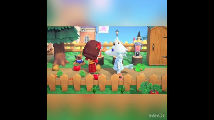 【あつ森】お年玉配る　#vlog #あつ森 #あつまれどうぶつの森 #こはくちゃんねる2424 #animalcrossing #asmr shorts  0→1 #今日　#大好き