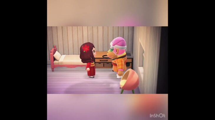 【あつ森】お年玉配る　#vlog #あつ森 #あつまれどうぶつの森 #こはくちゃんねる2424 #animalcrossing #asmr shorts  0→1 #今日　#大好き