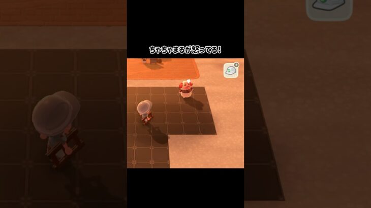 【あつ森】怒ってても可愛い過ぎるちゃちゃまる  #あつ森 #あつ森ちゃちゃまる #あつ森vlog