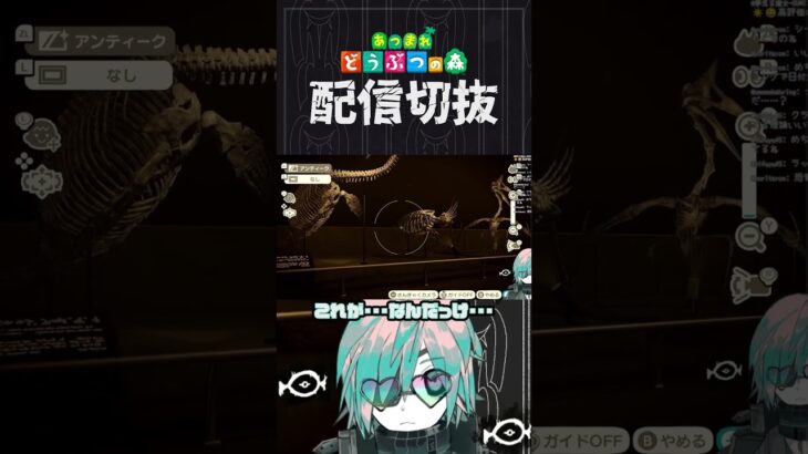 【あつ森】一回手持ちカメラで博物館見てみた方が良い　 #個人vtuber  #配信切り抜き #切り抜き動画 #あつまれどうぶつの森