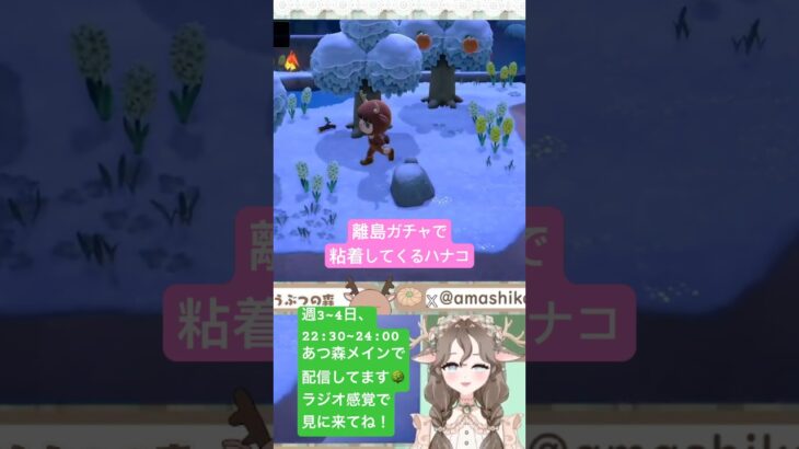 お祓いしなきゃ…🧹#あつ森 #あつまれどうぶつの森 #vtuber #shorts