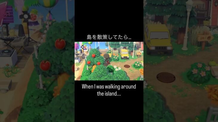 何してるの⁉️w #あつ森 #あつまれどうぶつの森 #あつ森好きな人と繋がりたい #animalcrossing #おかめなっ島 #acnh #comedy #englishtranslation