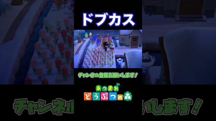 禅院真希ぐらいたぶん人の心とかないあつ森の住民w #shorts #あつ森 #呪術廻戦