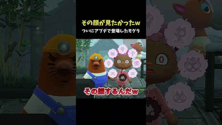 【あつ森】衝撃の顔をカメラが押さえたw #shorts