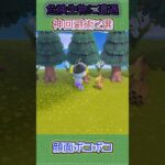 顔面を守りたいあつ森勢の本気w #あつ森 #あつまれどうぶつの森 #shorts