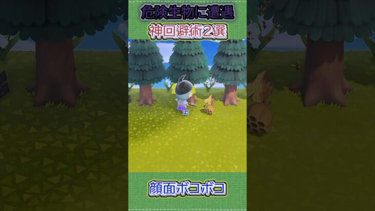 顔面を守りたいあつ森勢の本気w #あつ森 #あつまれどうぶつの森 #shorts