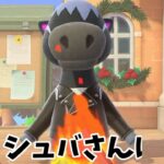 【あつ森】たき火しながら語る最近の出来事　with 住民 #shorts #あつ森 #あつまれどうぶつの森