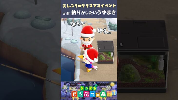 【あつ森】久しぶりのクリスマスイベント🎄 with「どうしても釣りがしたいうずまきちゃん」  #shorts