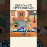 【あつ森】まさかの事件！？チャンプを閉じ込めてしまったw【あつまれどうぶつの森】#shorts #あつ森