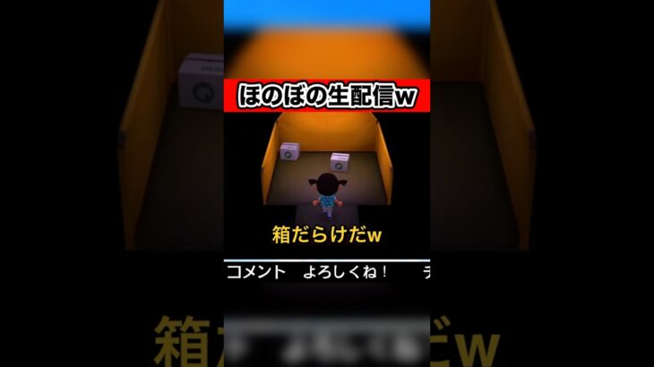 【あつ森】家具の配置がねww【夫婦で実況】#あつまれどうぶつの森  #shorts #ゲーム実況