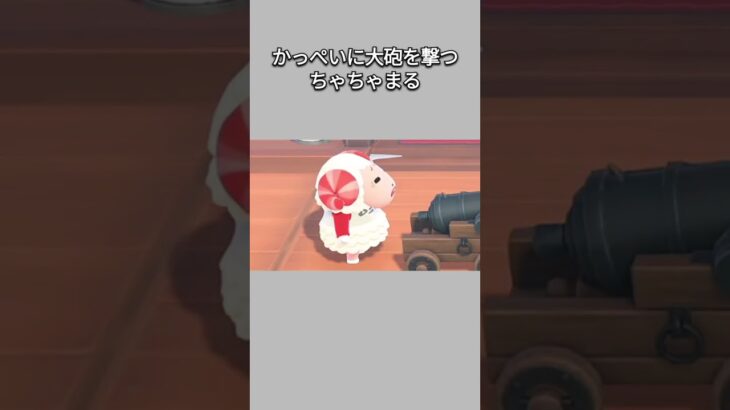 【あつ森】かっぺいに大砲を撃つちゃちゃまる。ノーダメージのかっぺい強すぎるww【あつまれどうぶつの森】【どうぶつの森】【ACNH】 #short
