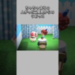 【あつ森】寝ているちゃちゃまるに話しかけたら動揺が凄かった😂ww【あつまれどうぶつの森】【どうぶつの森】【ACNH】 #short