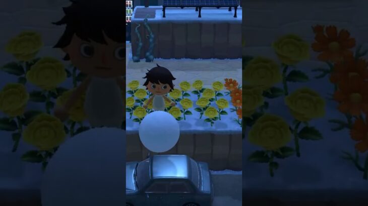 【あつ森】高級車に雪玉落としてみたwww #shorts #あつ森