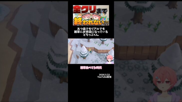 あつ森でもリアルでも雑草にお世話になっているどろっぷくんwww #どろっぷ #切り抜き #stprboys #ぽけ日 #ゲーム実況 #あつ森