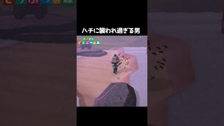 【あつ森】ハチに襲われ過ぎwwwww#あつまれどうぶつの森 #あつ森 #どうぶつの森 #ゲーム実況 #shorts #shortsvideo