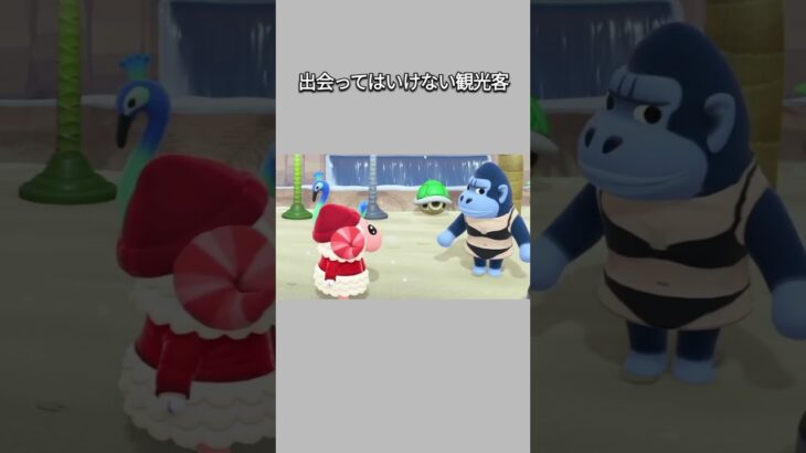 【あつ森】ヤバい観光客に遭遇してしまう、ちゃちゃまるwwダンベル･･･www【あつまれどうぶつの森】【どうぶつの森】【ACNH】 #short