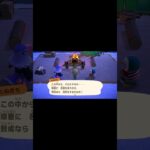 あつ森0からはじめました。#あつ森 #あつまれどうぶつの森