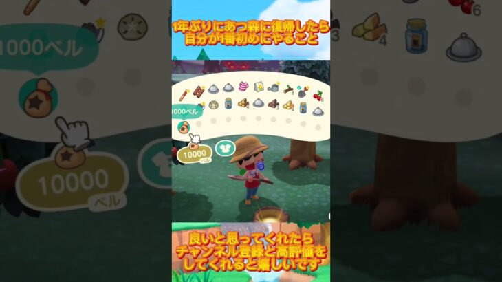 【あつまれどうぶつの森】1年ぶりにあつ森したらやること。#あつまれどうぶつの森  #あつ森