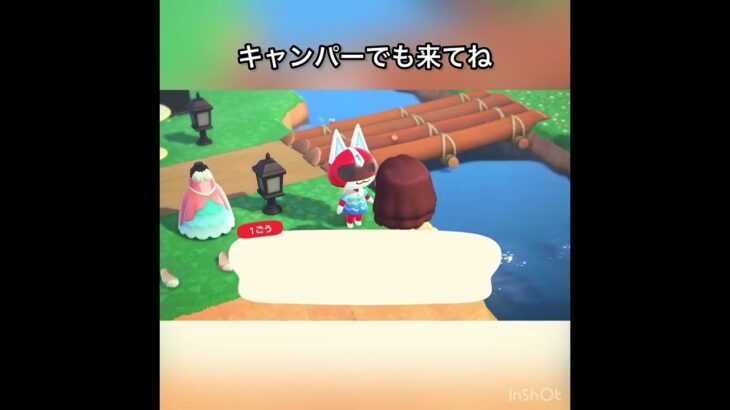 【1ごう来た　観光客】vlog #あつ森 #あつまれどうぶつの森 #こはくちゃんねる2424