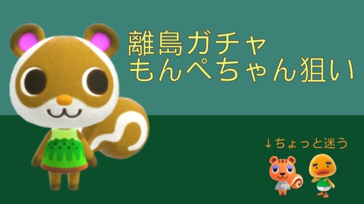 #10【あつ森】離島ガチャ！もんぺ探しの旅【声なし配信】