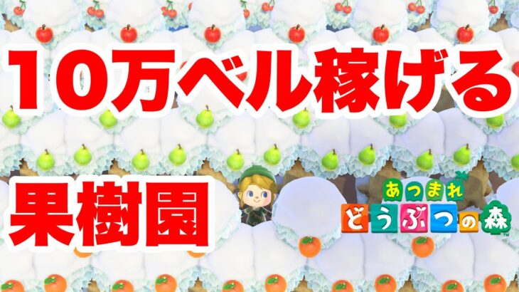 10万ベル稼げる果樹園を紹介します あつまれどうぶつの森【ベル稼ぎ お金稼ぎ 金策術 実況なし プレイ動画 あつ森 Animal Crossing: New Horizons 】