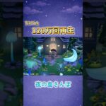 【あつ森】100万回再生された夜の島散歩動画 #acnh #あつ森  #島クリエイト #shorts