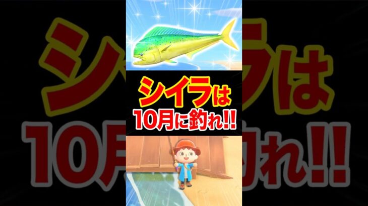 【あつ森】シイラは10月の夜に釣れ！5月は沼りがちな罠