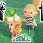 【あつ森】ついにこのゲームに手を出す一級建築士【#あつまれどうぶつの森 / #一級建築士 / #11】