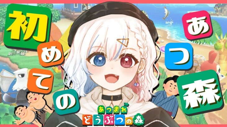 #12【あつ森】初心者あつ森 キャンプサイトに誰かいるぞ