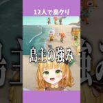 12人で島クリをするとこうなる【あつ森アプデ】