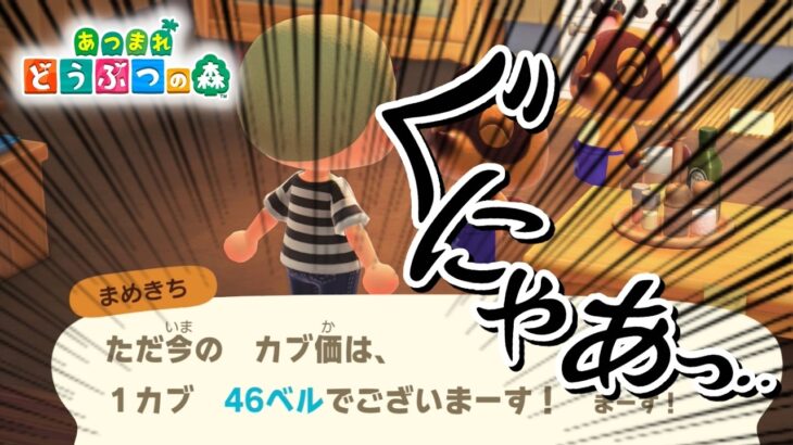 【あつ森】ついにこのゲームに手を出す一級建築士【#あつまれどうぶつの森 / #一級建築士 / #12】