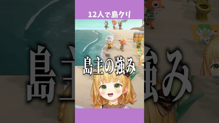 12人で島クリをするとこうなる【あつ森アプデ】