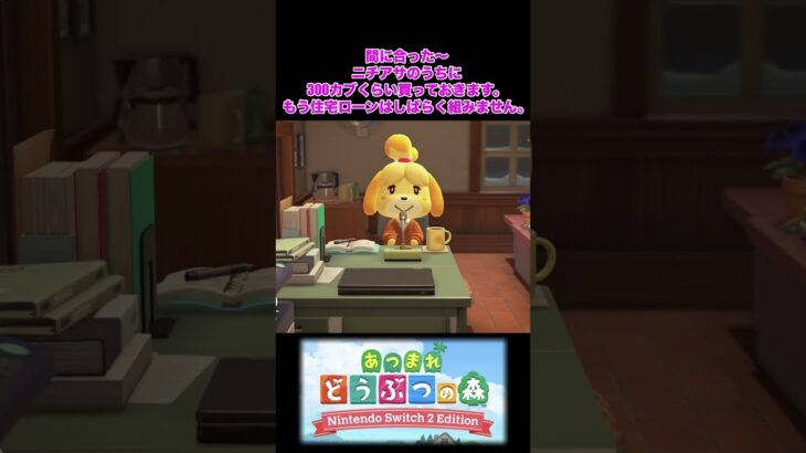 13 あつまれどうぶつの森　あつ森