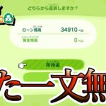 【あつ森】ついにこのゲームに手を出す一級建築士【#あつまれどうぶつの森 / #一級建築士 / #13】