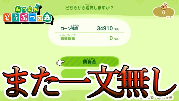 【あつ森】ついにこのゲームに手を出す一級建築士【#あつまれどうぶつの森 / #一級建築士 / #13】