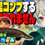 【 #あつ森 】魚図鑑コンプへの道！ #14