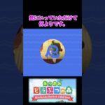 17 あつまれどうぶつの森　あつ森　リゾートホテル　カジキ　マスター