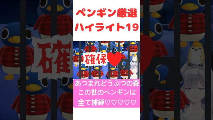 【あつ森】ペンギン厳選ハイライト19 #vtuber  #ゲーム実況  #ペンギン