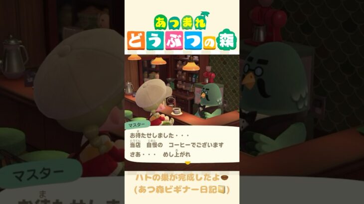 【あつ森】博物館にカフェが出来たんだって…!!!(このあとコーヒー2杯おかわりした☕️) #あつまれどうぶつの森 #ハトの巣