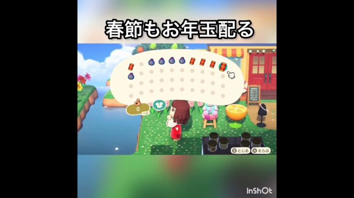 【あつ森】春節　お年玉配る　ホウサク　2月　#vlog #あつ森 #あつまれどうぶつの森 #こはくちゃんねる2424