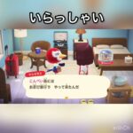 【あつ森】観光客　マスカラス　2月　#vlog #あつ森 #あつまれどうぶつの森 #こはくちゃんねる2424