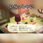 【あつ森】観光客　マリー　2月　#vlog #あつ森 #あつまれどうぶつの森 #こはくちゃんねる2424