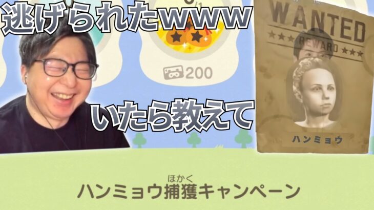【あつ森】ハンミョウ捕獲キャンペーンに挑むたいじ【2026/02/21】